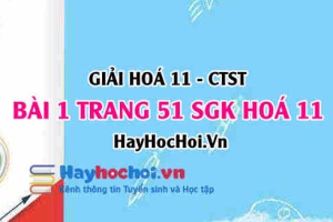 Giải bài 1 trang 51 Hoá 11 SGK Chân trời sáng tạo